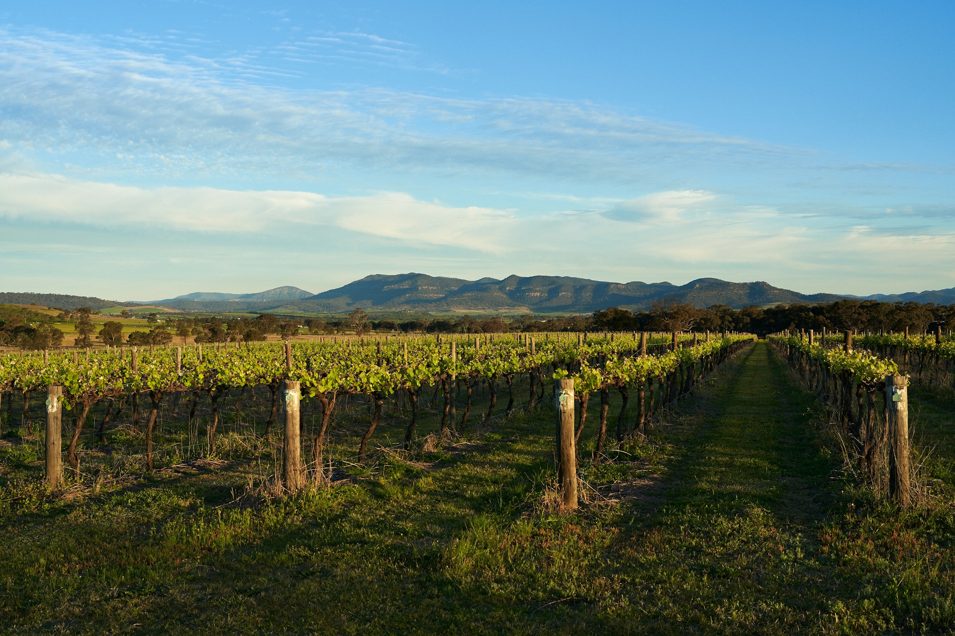 The Best Luxury Wine Regions to Visit in Australia