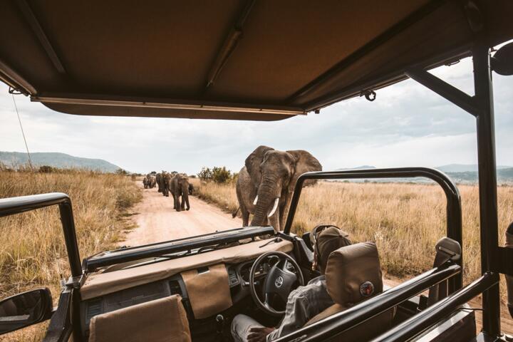 The Most Exclusive Safari Experiences Money Can Buy