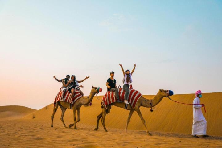 Why Desert Excursions Need Planning
