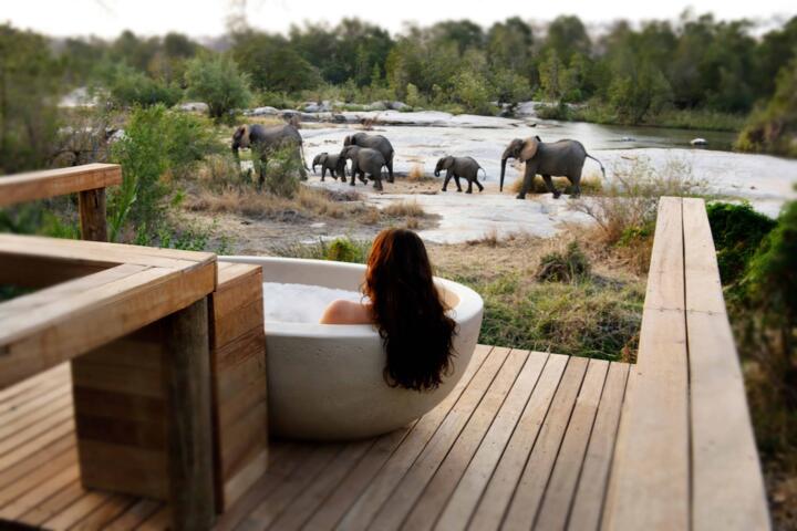 The Ultimate Luxury Safari: Top 5 Private Game Reserves in Sabi Sands