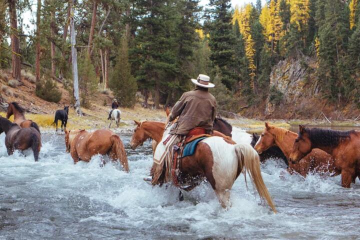 The Ultimate Guide to Luxury Ranch Stays in Montana and Wyoming