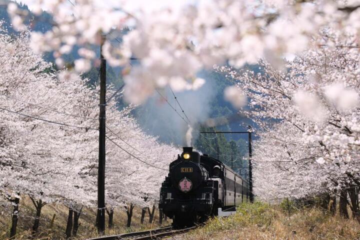 Why Train Travel Defines Trips in Japan and India