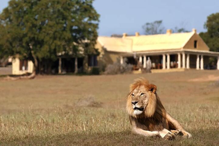 Why a Guided Tour Often Makes Sense in Africa