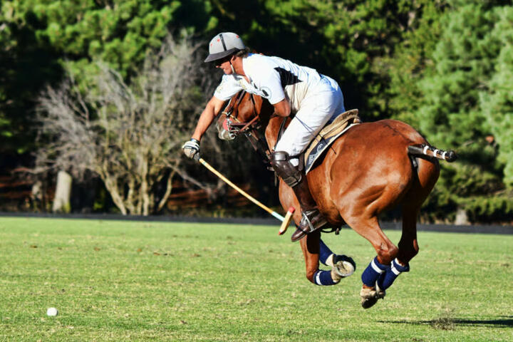Polo Resorts in Argentina: VIP Guide