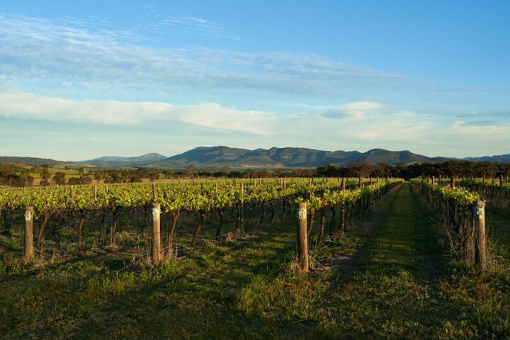 The Best Luxury Wine Regions to Visit in Australia