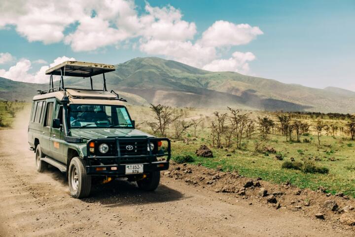The Best Safari Destinations for First-Timers