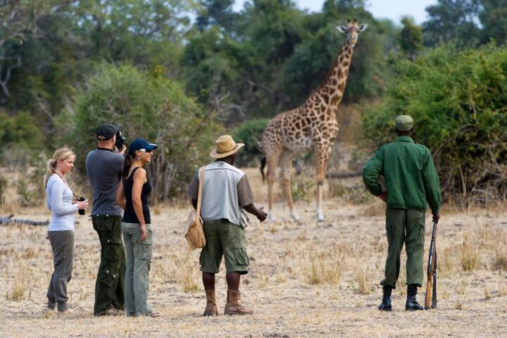 How to Pack for a Safari