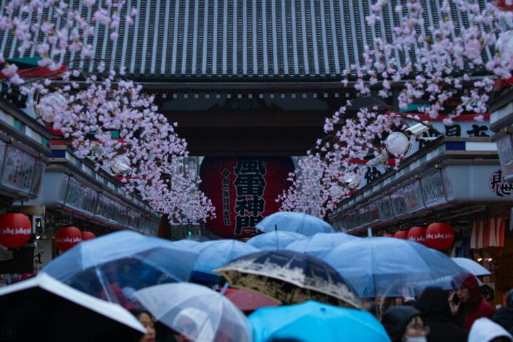 How Monsoon Season Shapes Travel in Asia