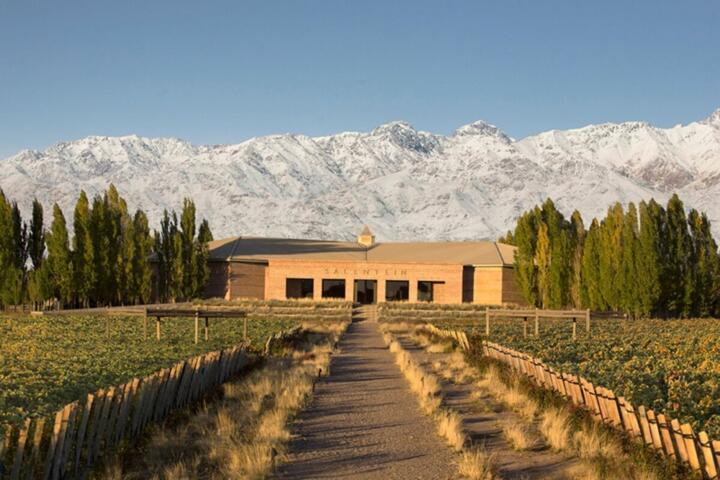 Private Wine Estates: Argentina vs Chile